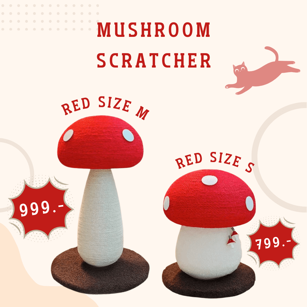 เสาเห็ดลับเล็บแมว PETELLE รุ่น MUSHROOM SCRATCHER ไซส์ M สีแดง_4