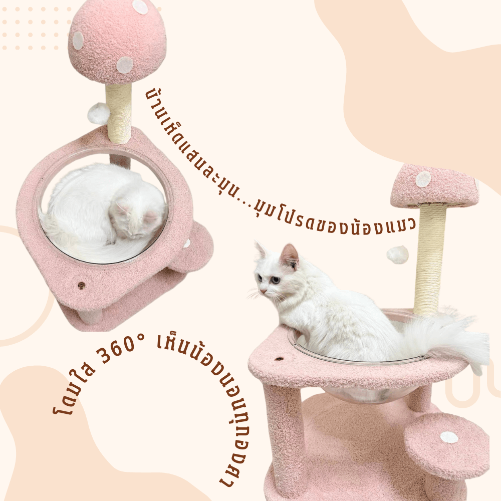 บ้านเห็ดแมวพร้อมโดมใส PETELLE รุ่น MUSHROOM LOUNGE ไซส์ L_4