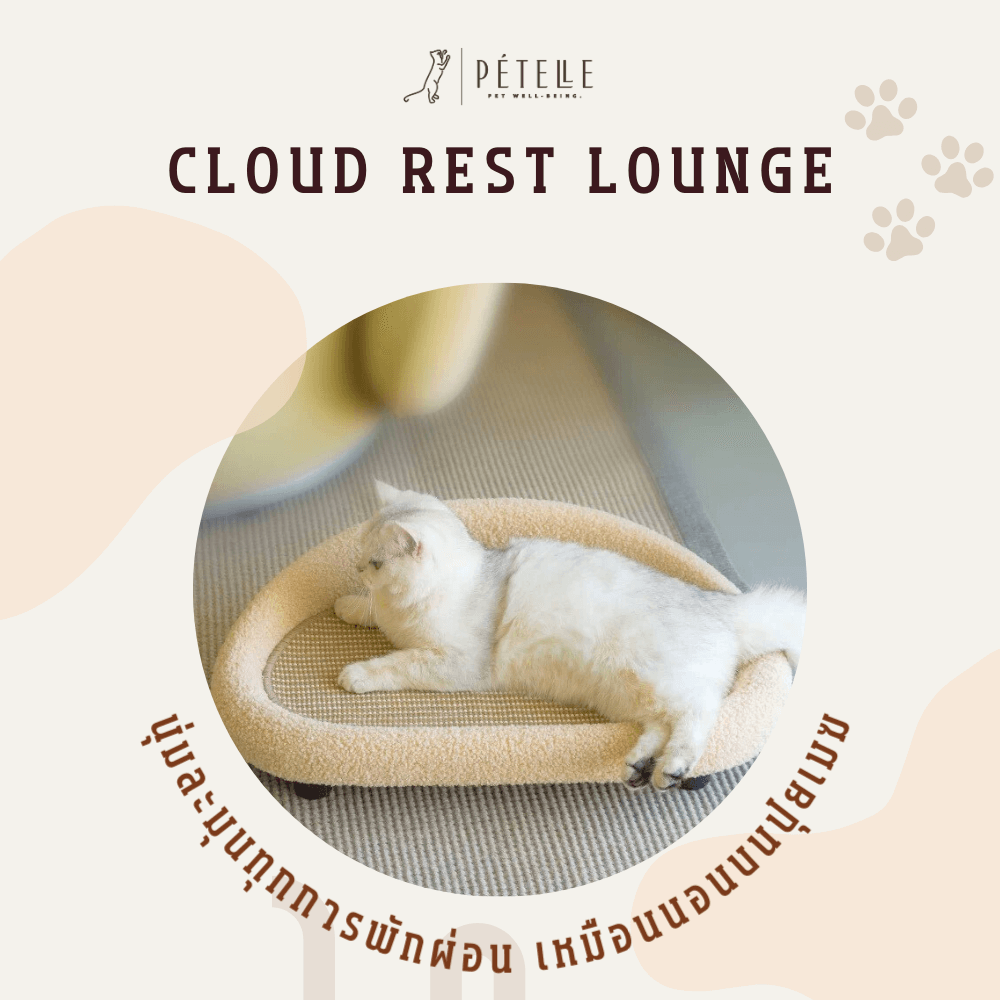 ที่นอนสัตว์เลี้ยง PETELLE รุ่น CLOUD REST LOUNGE_4