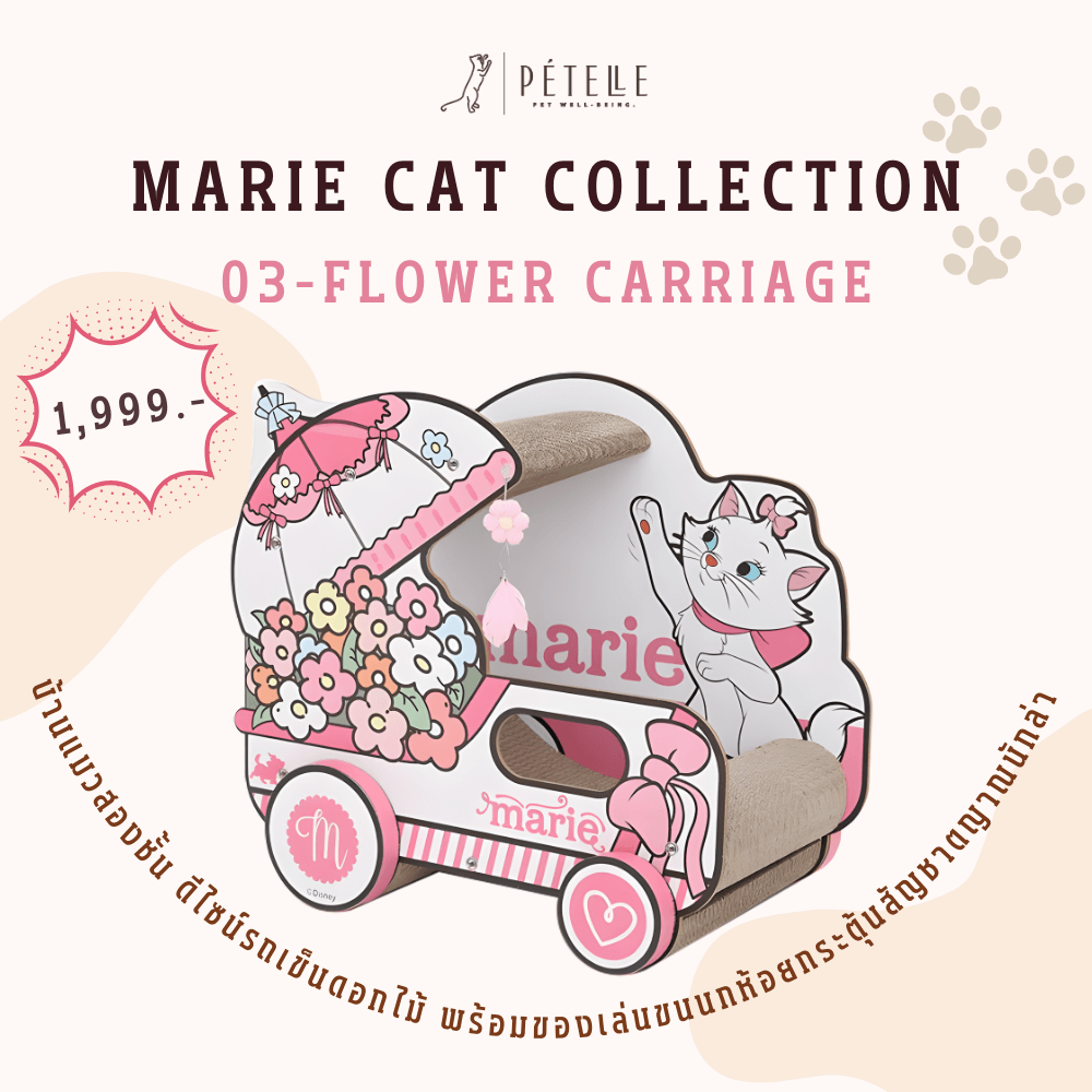 ที่ลับเล็บแมว PETELLE MARIE CAT COLLECTION เลาจน์แมวลายมารี ถ้วยกาแฟ