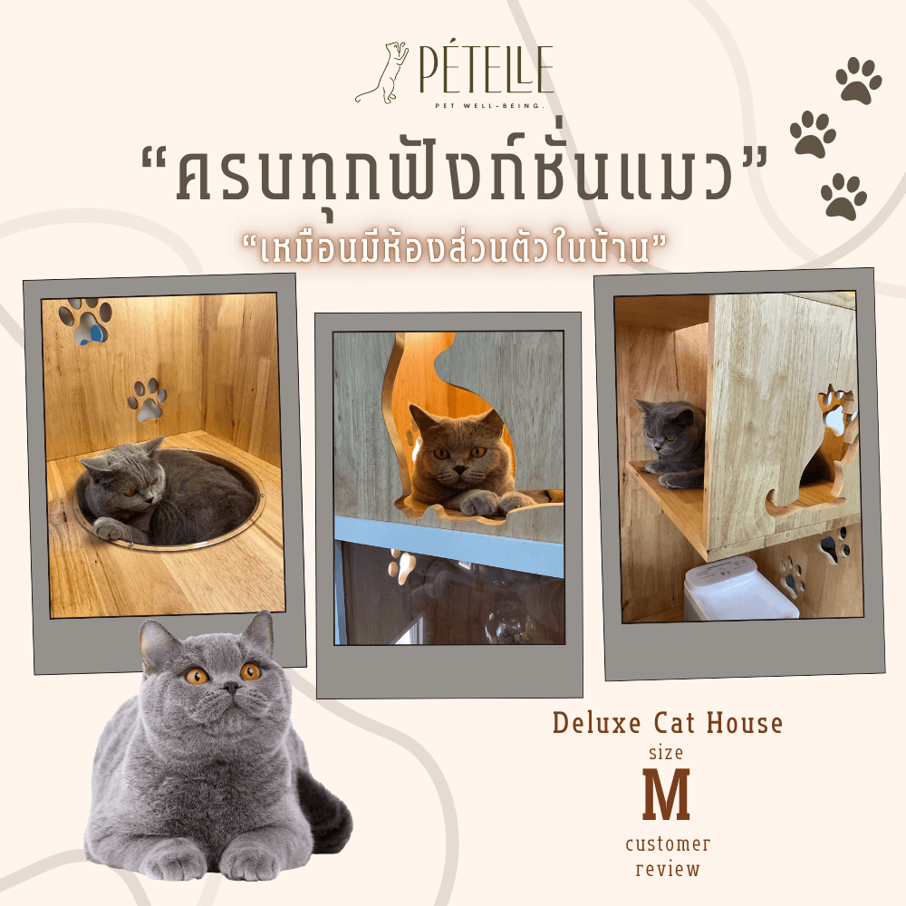 บ้านแมว PETELLE ไซส์ M ขนาด 90X50X120 ซม.