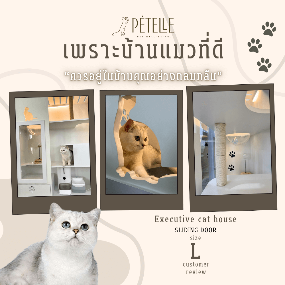 บ้านแมว ประตูบานเลื่อน PETELLE ไซส์ L ขนาด 120X50X150 ซม.