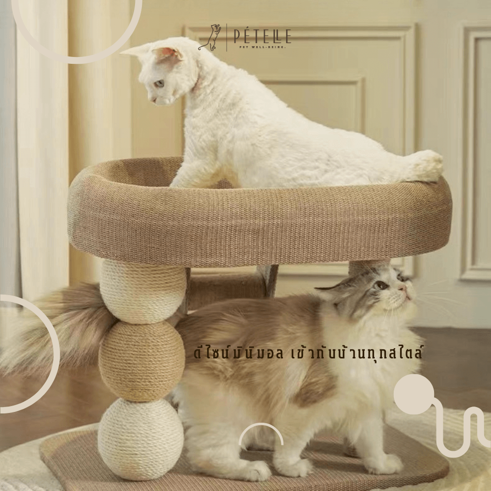 ที่นอนแมวพร้อมที่ปีนเล่น PETELLE รุ่น FUR PODIUM_5