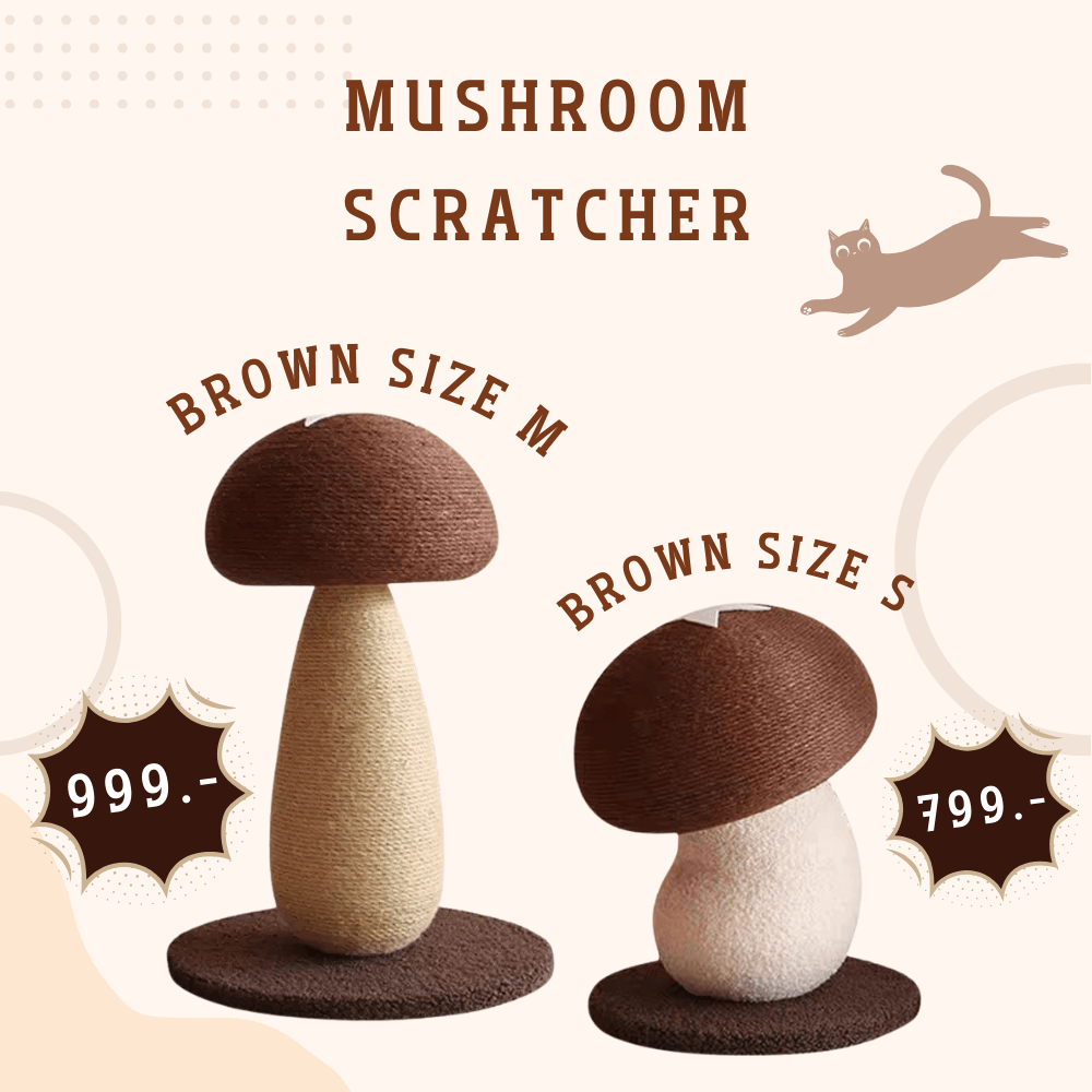 เสาเห็ดลับเล็บแมว PETELLE รุ่น MUSHROOM SCRATCHER ไซส์ M สีน้ำตาล_5
