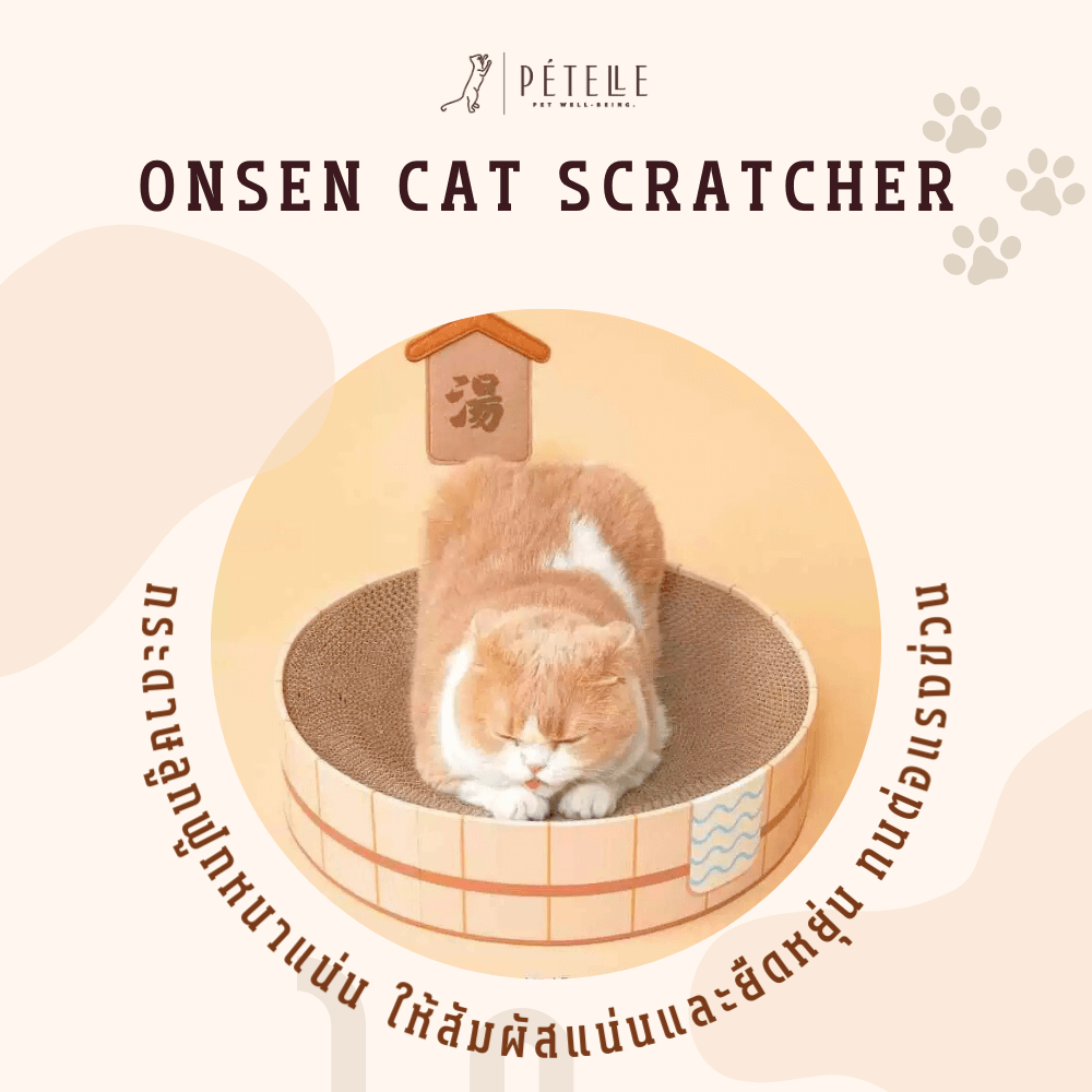 ที่ลับเล็บแมว PETELLE รุ่น ONSEN CAT SCRATCHER รูปทรงอ่างออนเซ็น