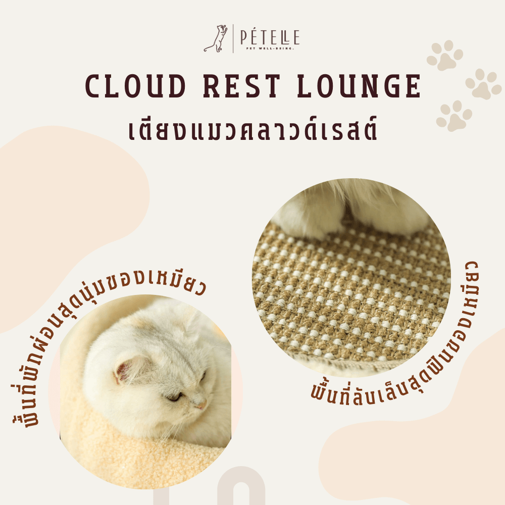 ที่นอนสัตว์เลี้ยง PETELLE รุ่น CLOUD REST LOUNGE_5