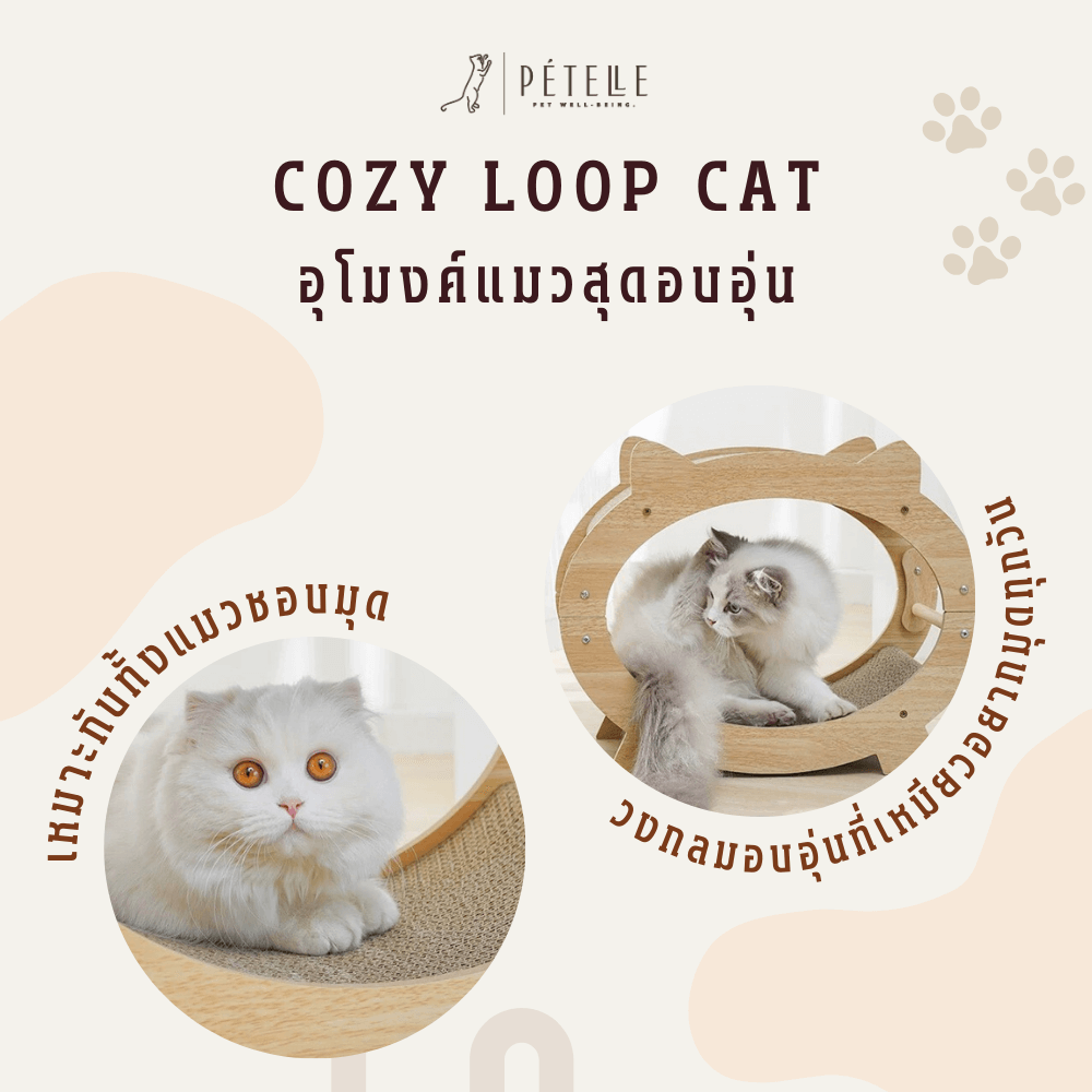 ที่นอนแมวแบบอุโมงค์สองชั้น PETELLE รุ่น COZY LOOP CAT วัสดุกระดาษลูกฟูกและโครงไม้