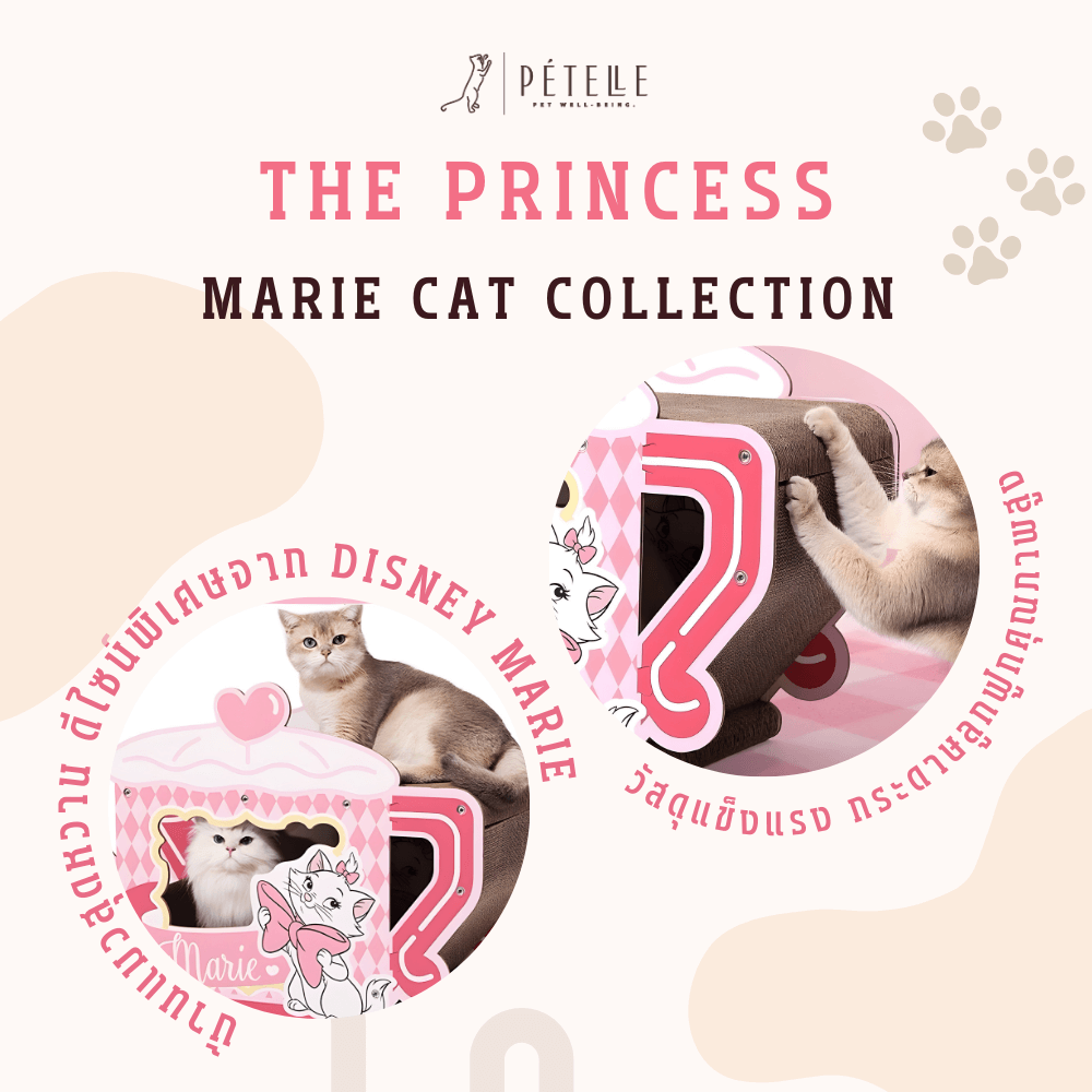 ที่ลับเล็บแมว PETELLE MARIE CAT COLLECTION บ้านแมวลายมารี รถดอกไม้สองชั้น_5