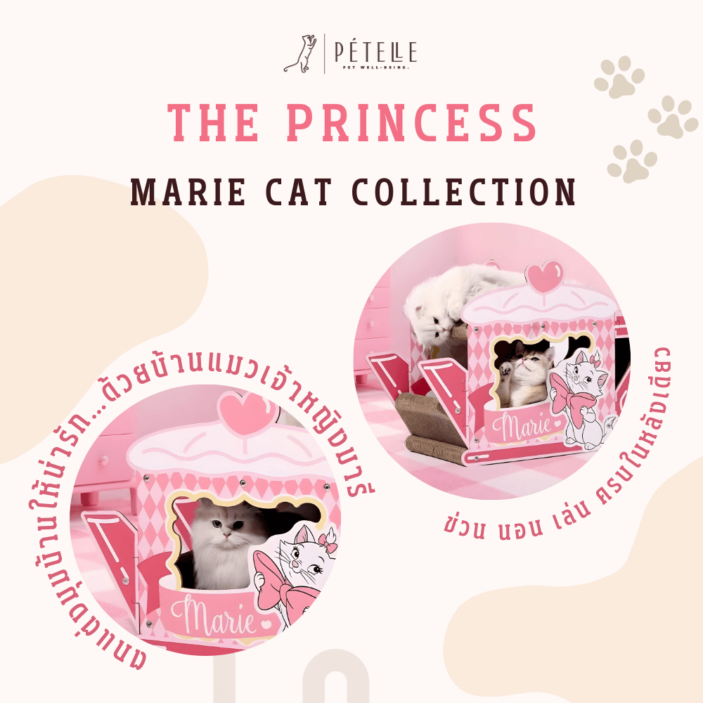 ที่ลับเล็บแมว PETELLE MARIE CAT COLLECTION เลาจน์แมวลายมารี ถ้วยกาแฟ