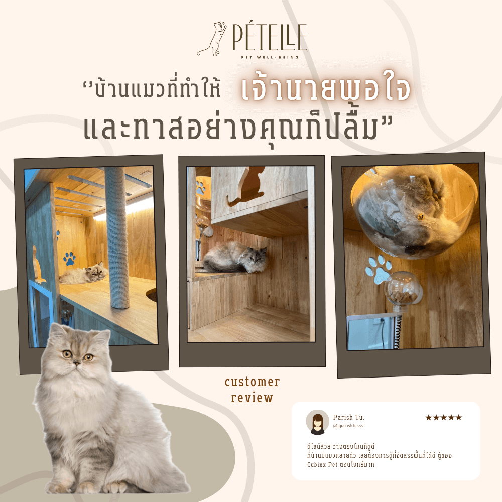 บ้านแมว PETELLE ไซส์ M ขนาด 90X50X120 ซม.