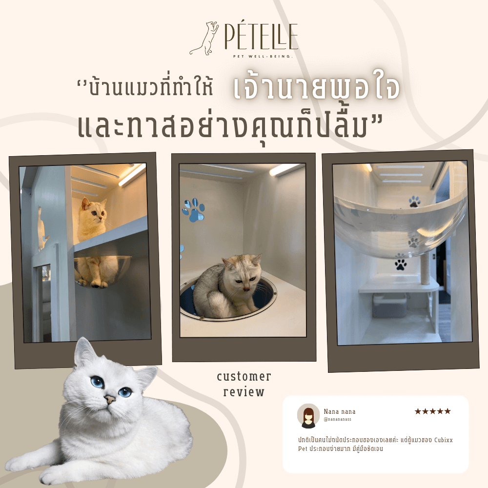 บ้านแมว ประตูบานเลื่อน PETELLE ไซส์ L ขนาด 120X50X150 ซม.