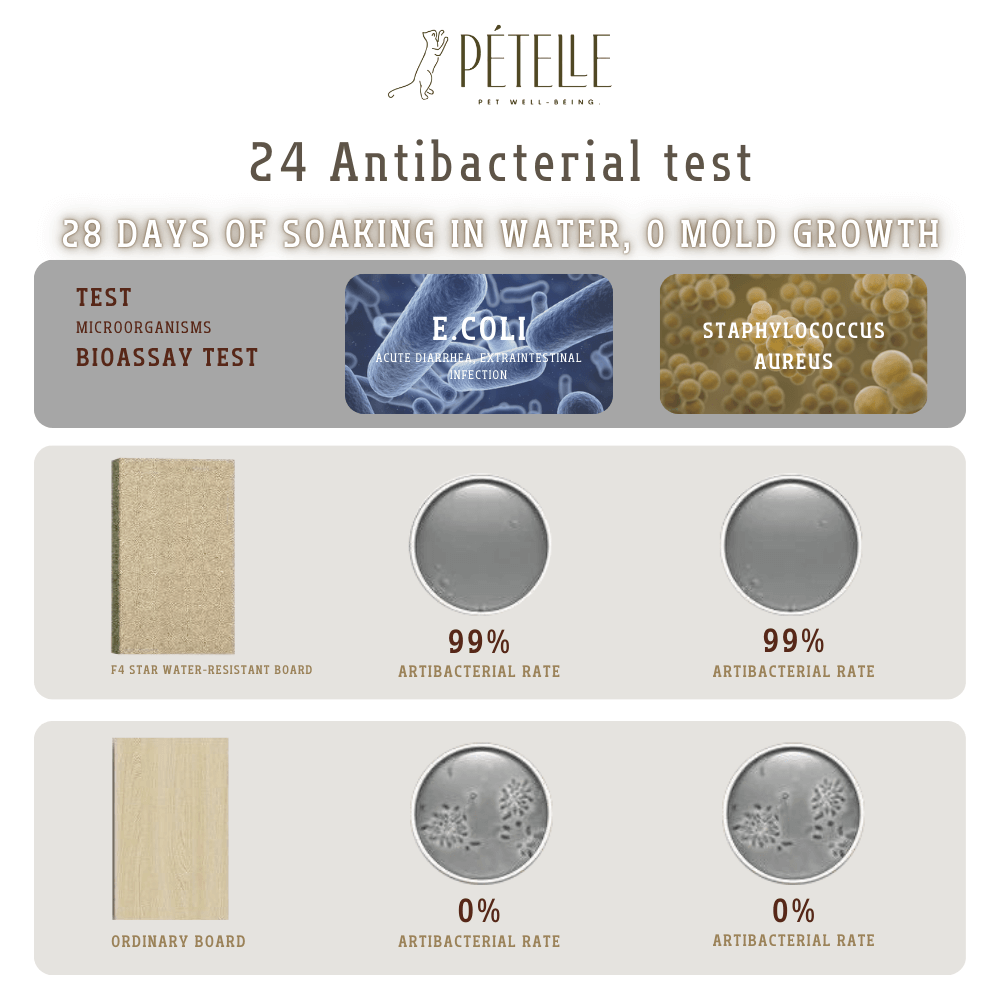 คอนโดแมวดีไซน์จรวด PETELE รุ่น ROCKET CAT CLIMBING FRAME SIZE M สีชมพู