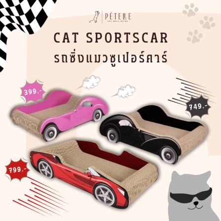 ที่ลับเล็บแมว PETELLE รุ่น CAT SPORTSCAR ทรงรถซูเปอร์คาร์ สีแดง_1