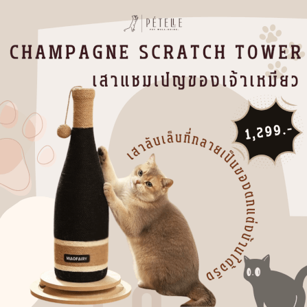 ที่ลับเล็บแมว PETELLE รุ่น CHAMPAGNE SCRATCH TOWER_1
