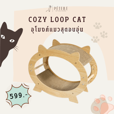 ที่นอนแมวแบบอุโมงค์สองชั้น PETELLE รุ่น COZY LOOP CAT วัสดุกระดาษลูกฟูกและโครงไม้_1
