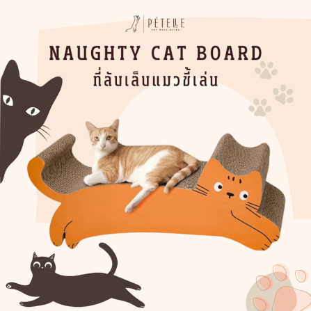 ที่ลับเล็บแมว PETELLE รุ่นแมวขี้เล่น สีดำ_1