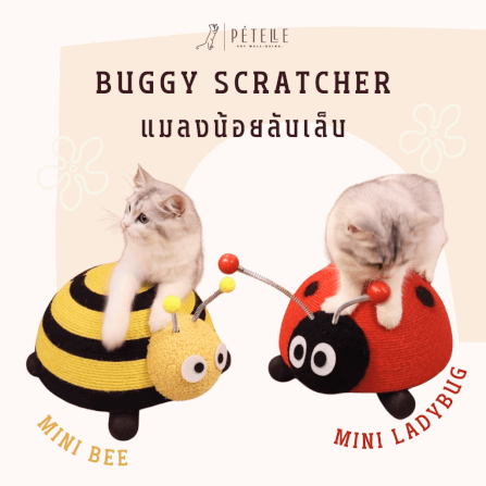 ที่ลับเล็บแมว PETELLE รุ่นแมลงน้อย ผึ้งน้อย_1