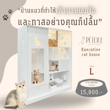 บ้านแมว PETELLE ไซส์ L ขนาด 120X50X150 ซม._1