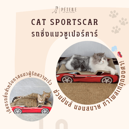 ที่ลับเล็บแมว PETELLE รุ่น CAT SPORTSCAR ทรงรถซูเปอร์คาร์ สีแดง_2