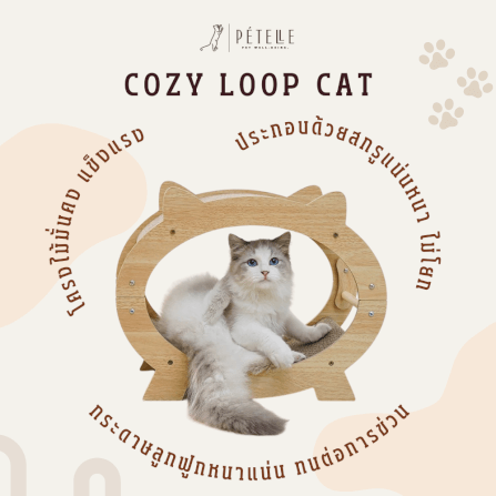 ที่นอนแมวแบบอุโมงค์สองชั้น PETELLE รุ่น COZY LOOP CAT วัสดุกระดาษลูกฟูกและโครงไม้_2