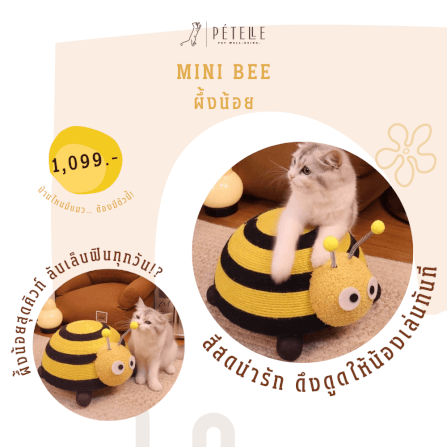 ที่ลับเล็บแมว PETELLE รุ่นแมลงน้อย ผึ้งน้อย_2