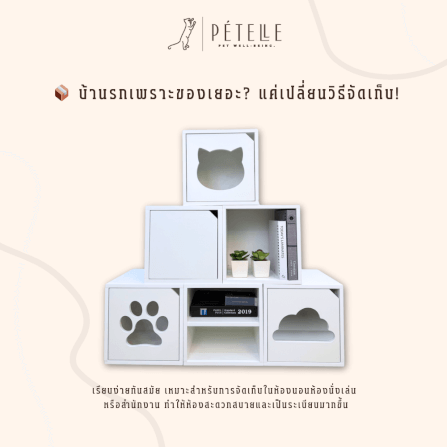 ตู้เตี้ยบานโล่ง 2 ชั้น PETELE รุ่น CUBE BOX02 ขนาด 35X33X35 ซม.สีไม้_2