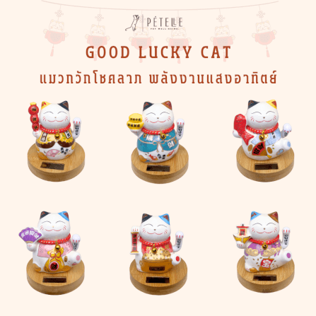 แมวกวักโชคลาภ PETELLE รุ่น GOOD LUCKY CAT 04_2