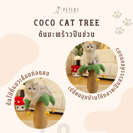 ที่ลับเล็บแมว PETELLE รุ่น COCO CAT TREE_3