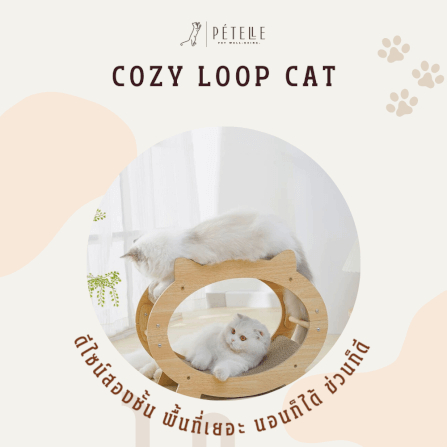 ที่นอนแมวแบบอุโมงค์สองชั้น PETELLE รุ่น COZY LOOP CAT วัสดุกระดาษลูกฟูกและโครงไม้_3