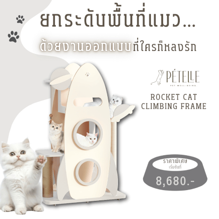 คอนโดแมวดีไซน์จรวด PETELE รุ่น ROCKET CAT CLIMBING FRAME SIZE L สีชมพู_3