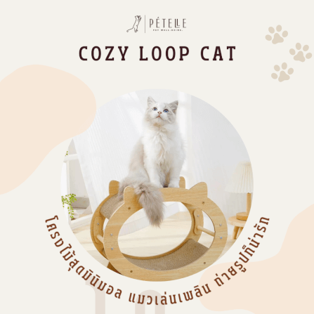 ที่นอนแมวแบบอุโมงค์สองชั้น PETELLE รุ่น COZY LOOP CAT วัสดุกระดาษลูกฟูกและโครงไม้_4