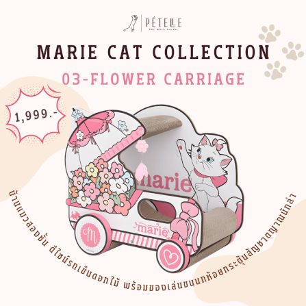 ที่ลับเล็บแมว PETELLE MARIE CAT COLLECTION เลาจน์แมวลายมารี ถ้วยกาแฟ_4