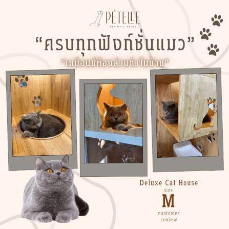 บ้านแมว PETELLE ไซส์ M ขนาด 90X50X120 ซม._4