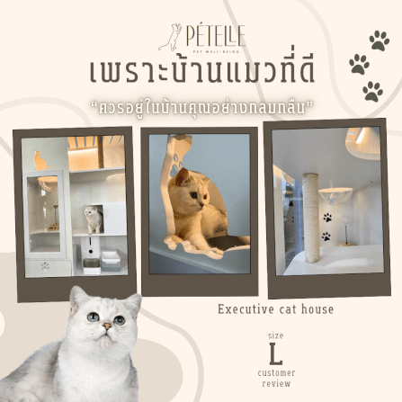 บ้านแมว PETELLE ไซส์ L ขนาด 120X50X150 ซม._4