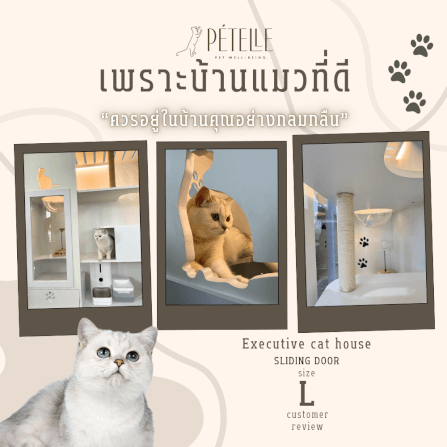 บ้านแมว ประตูบานเลื่อน PETELLE ไซส์ L ขนาด 120X50X150 ซม._4