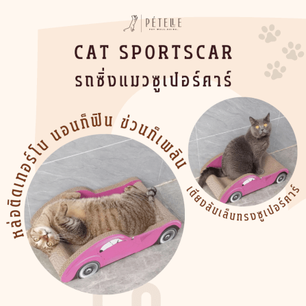 ที่ลับเล็บแมว PETELLE รุ่น CAT SPORTSCAR ทรงรถซูเปอร์คาร์ สีชมพู_5