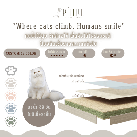 คอนโดแมวดีไซน์จรวด PETELE รุ่น ROCKET CAT CLIMBING FRAME SIZE M สีเทา_5