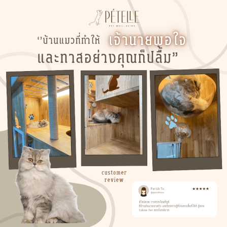 บ้านแมว PETELLE ไซส์ M ขนาด 90X50X120 ซม._6