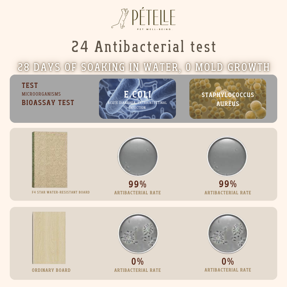 คอนโดแมว PETELE STARLIT CAT CLIMBING FRAME รุ่น COTTAGE SIZE S สีเขียว_6