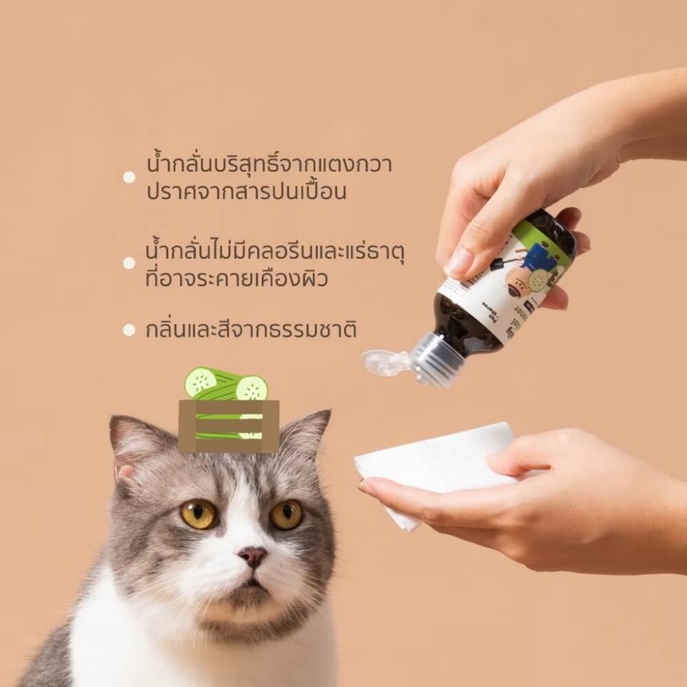 น้ำยาเช็ดคราบน้ำตาแมวและสุนัข PANTHEROE สูตรอ่อนโยน 500 มล.