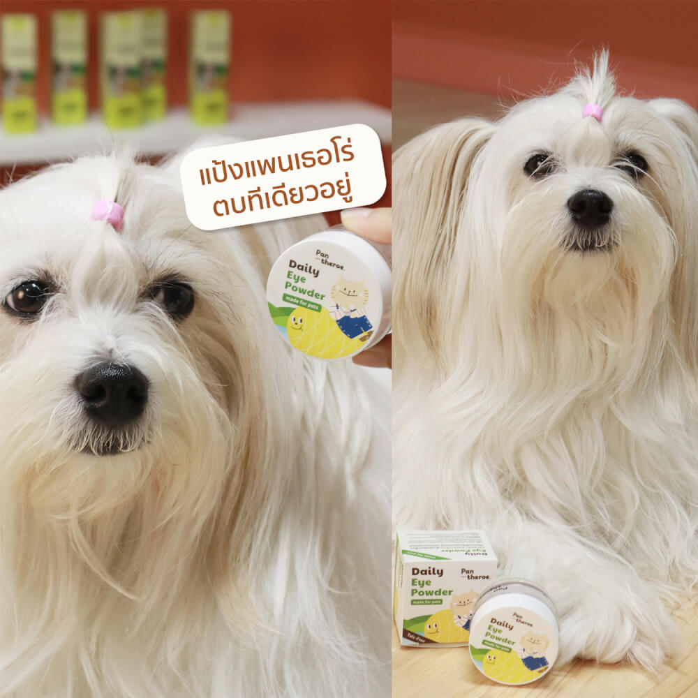 แป้งลดคราบน้ำตาแมวและสุนัข PANTHEROE 6 กรัม