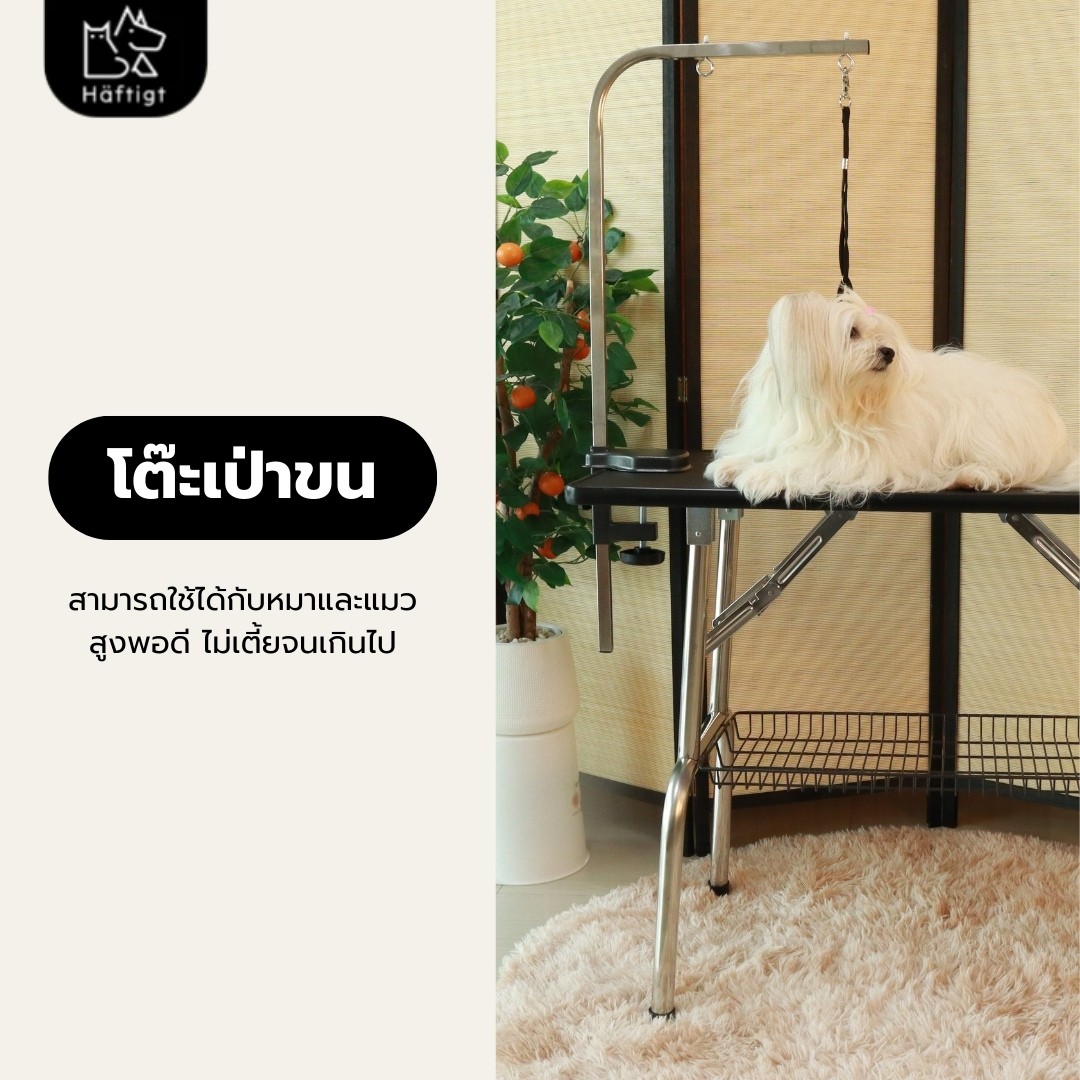 โต๊ะเป่าขนสัตว์เลี้ยง HAFTIGT ขนาด 55X95X78 ซม. แข็งแรง ทนทาน_1