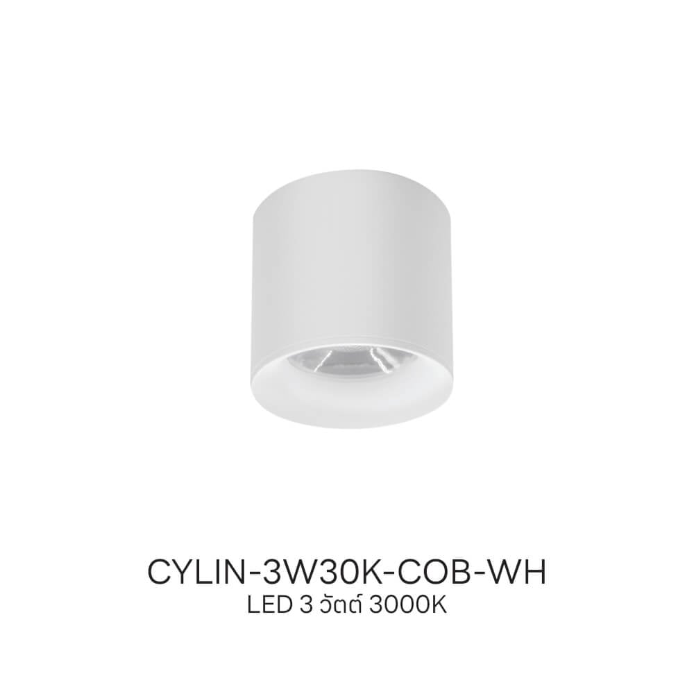 ดาวน์ไลท์ LED SL LIGHTING CYLIN กลม 3 วัตต์ WARM WHITE สีขาว 1 หัว