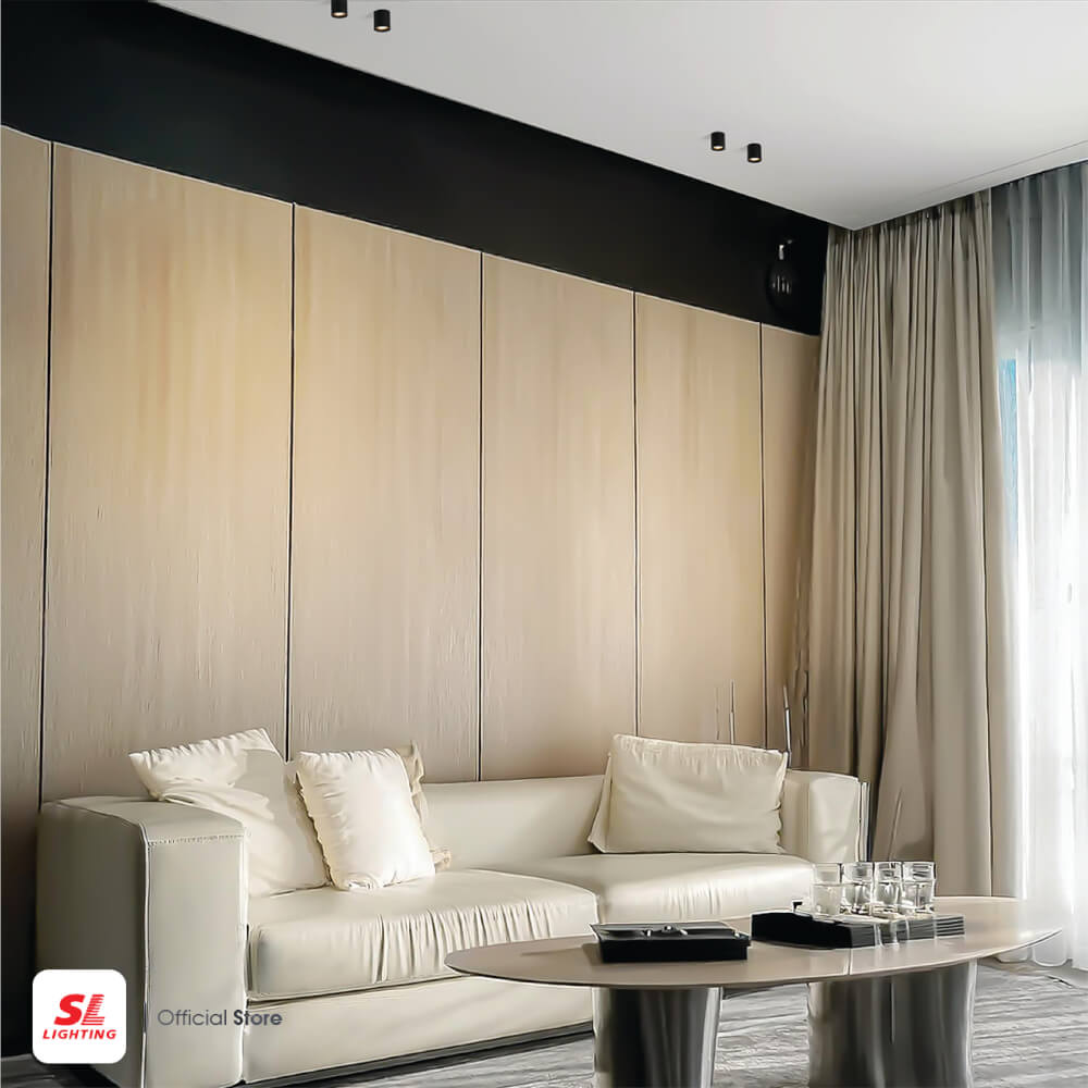 ดาวน์ไลท์ LED SL LIGHTING CYLIN กลม 3 วัตต์ WARM WHITE สีดำ 1 หัว