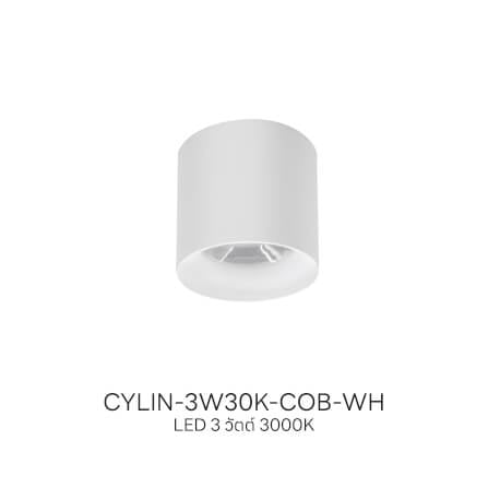 ดาวน์ไลท์ LED SL LIGHTING CYLIN กลม 3 วัตต์ WARM WHITE สีขาว 1 หัว_7