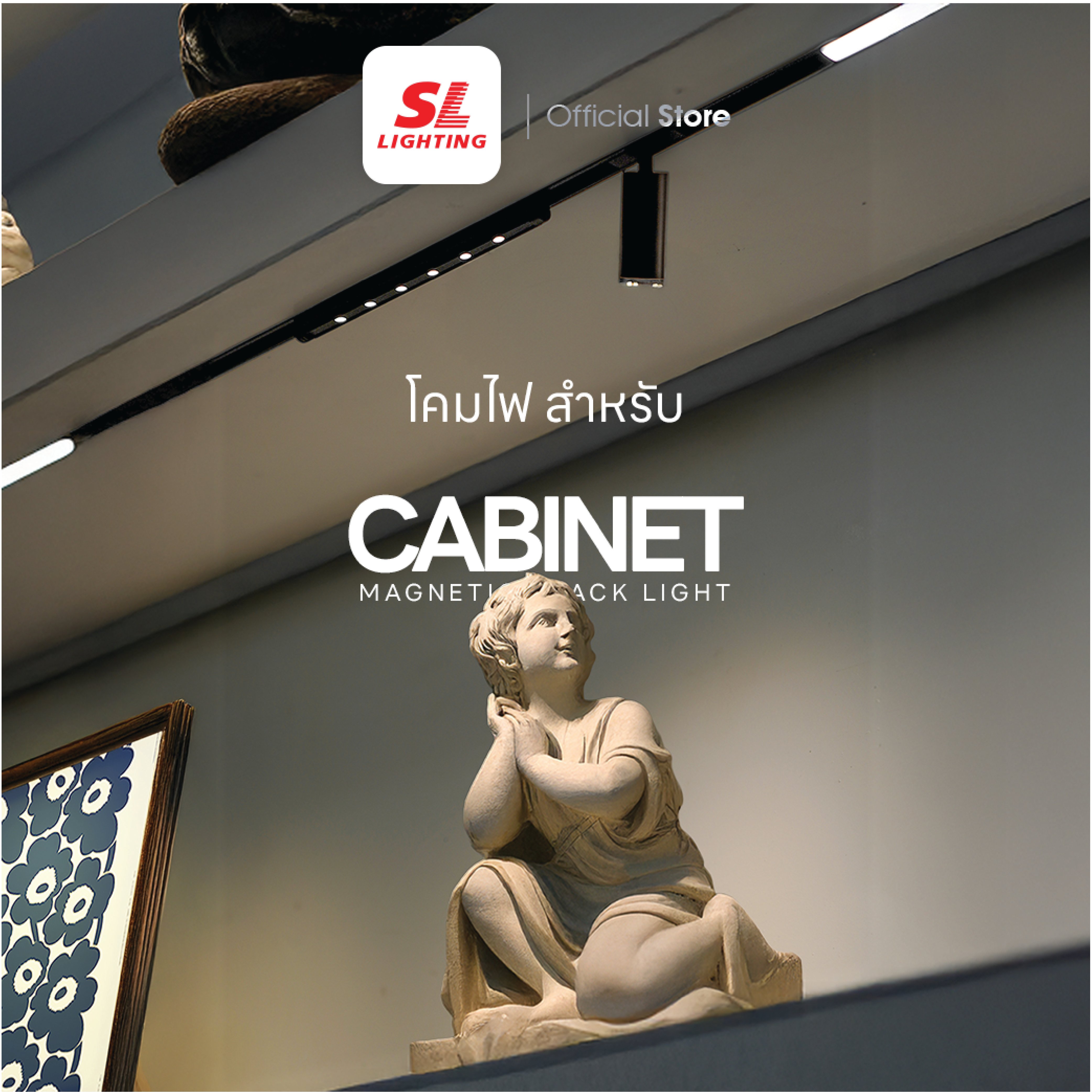 แทรคไลท์ LED แบบแม่เหล็ก SL LIGHTING CABINET ฟลัดไลท์ 10มม. 3.5 วัตต์ 24 โวลต์ WARM WHITE สีดำ