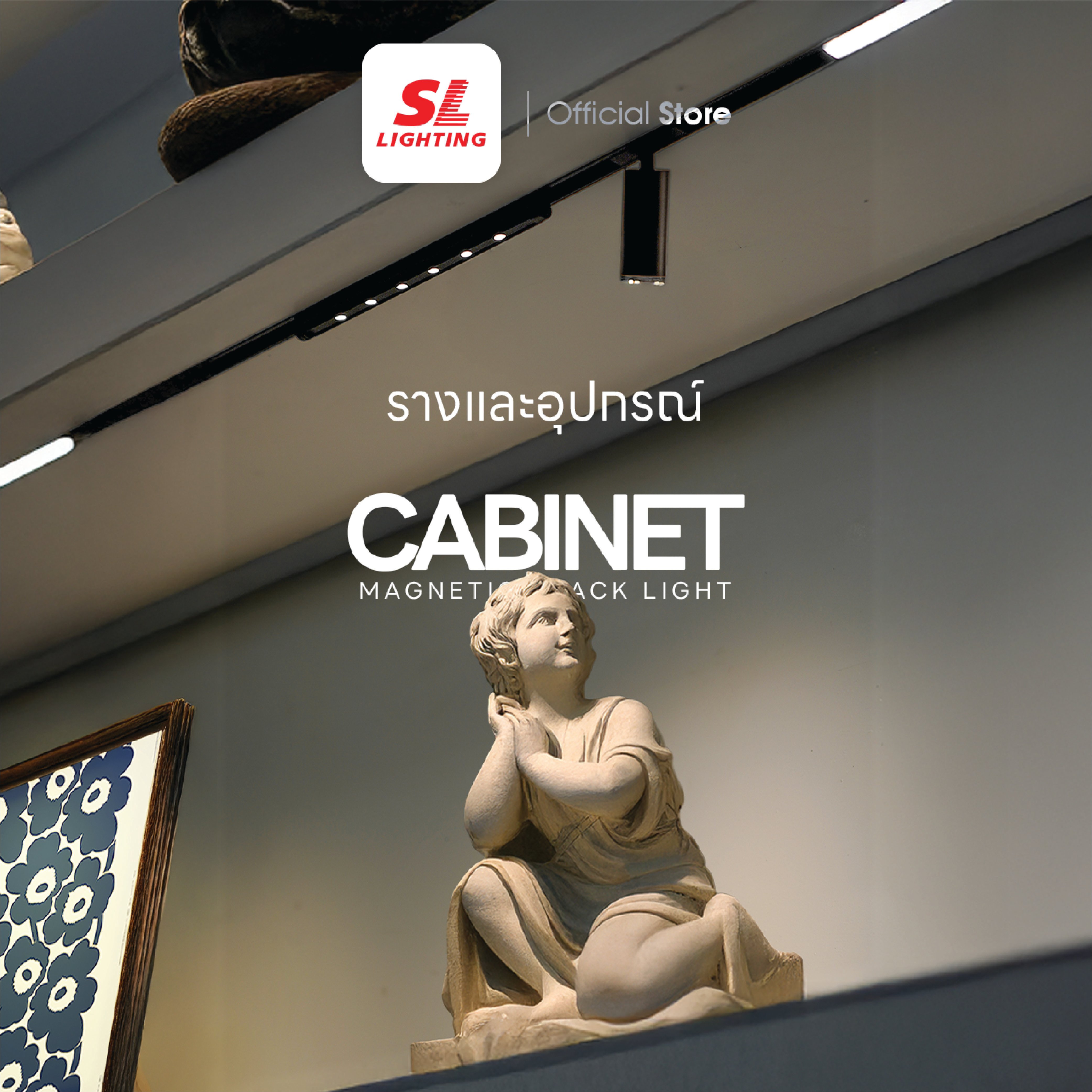 รางไฟแทรคไลท์ SL LIGHTING CABINET แบบฝัง 10 มม. 1 เมตร สีดำ