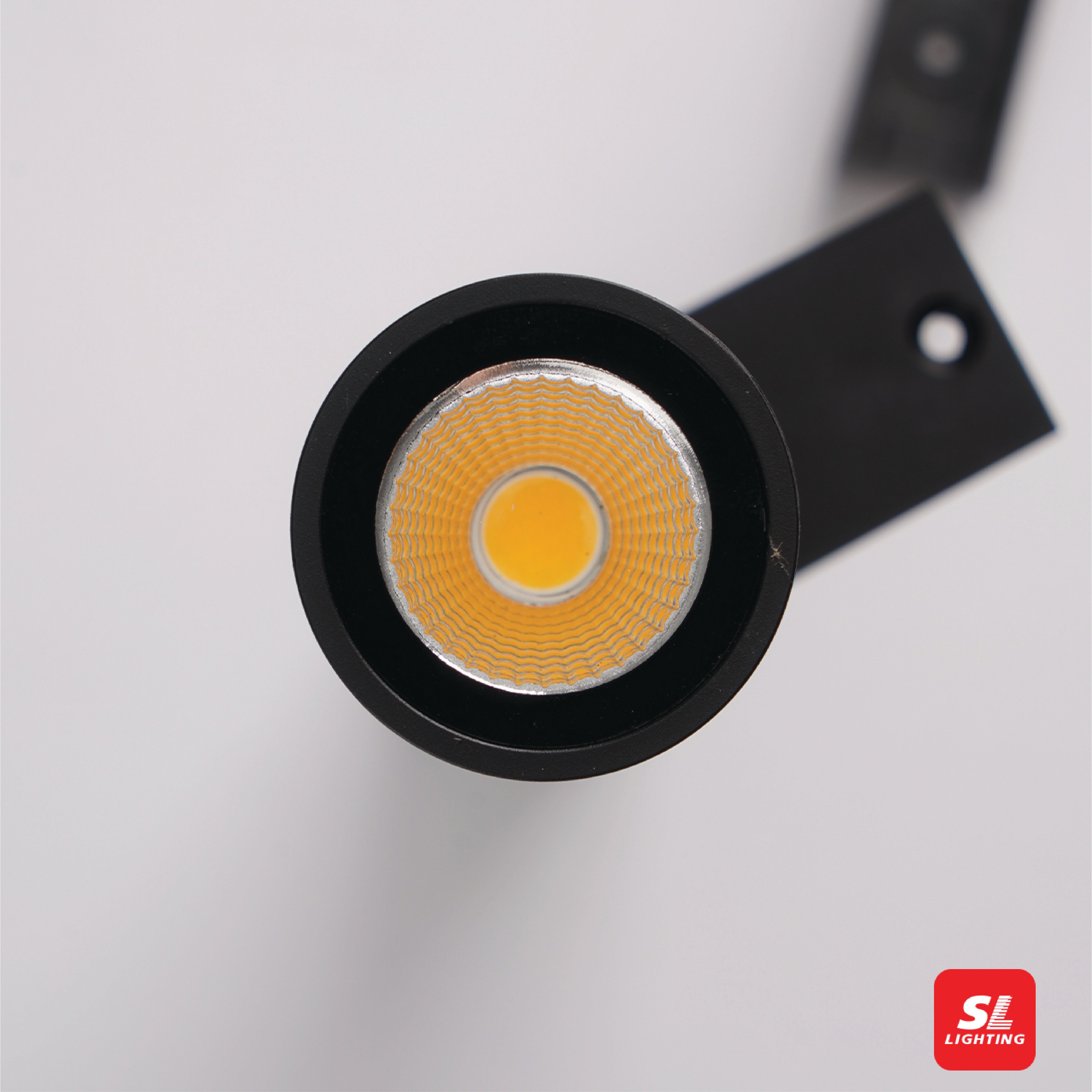 ไฟผนังภายนอก LED SL LIGHTING TER-25 10 วัตต์ 30ซม.WARM WHITE สีดำ
