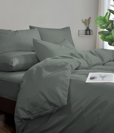 ชุดผ้าปูที่นอน 6 ฟุต 5 ชิ้น Ai by Akemi รุ่น ColourDream 9557108713635 สี Norax Anders Purtian Gray (ไม่รวมผ้านวม)_3