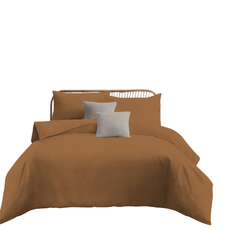 ชุดผ้าปูที่นอน 6 ฟุต 5 ชิ้น Ai by Akemi รุ่น ColourJoy 9557108685338 สี Groot Brown (ไม่รวมผ้านวม)_0